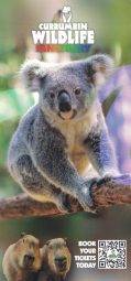 Currumbin Wildlife Sanctuary DL